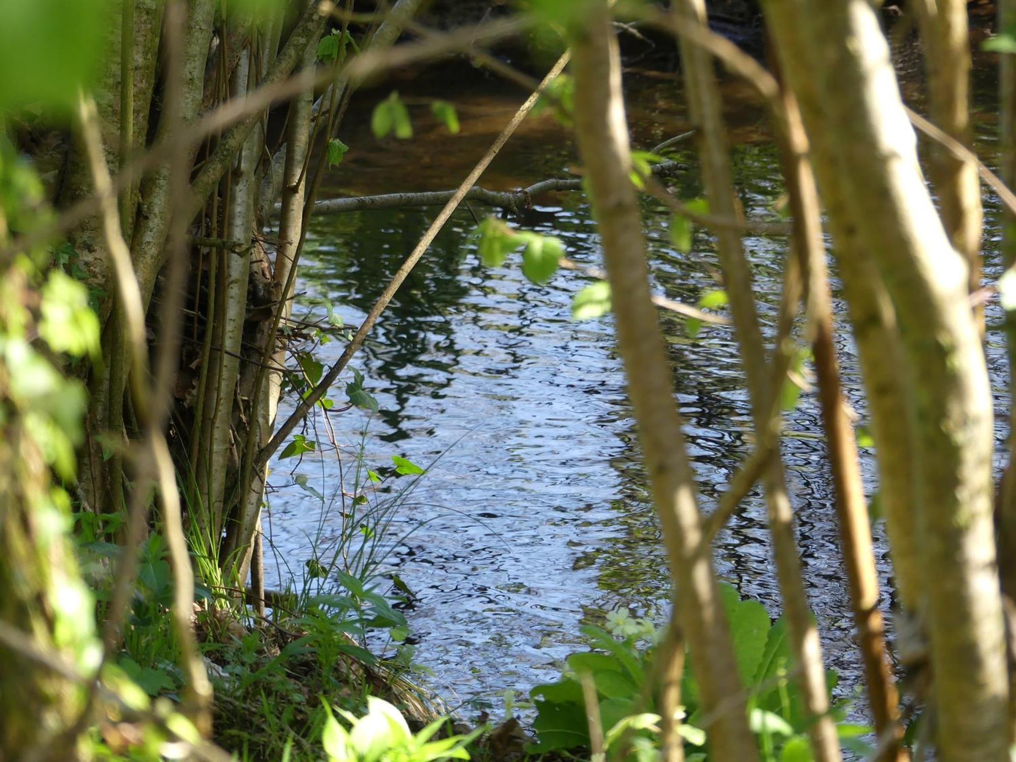Villa Squibernévez Pédernec Esterno foto